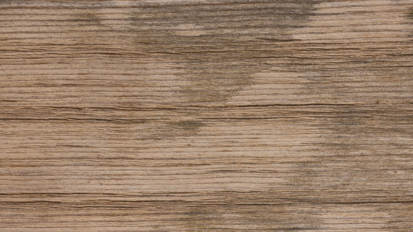 Close wood surface showing natural grain and texture