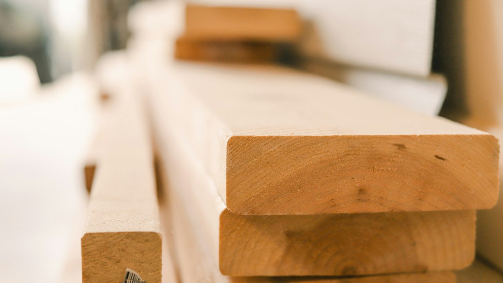 Natural wood samples showing differences in grain and color